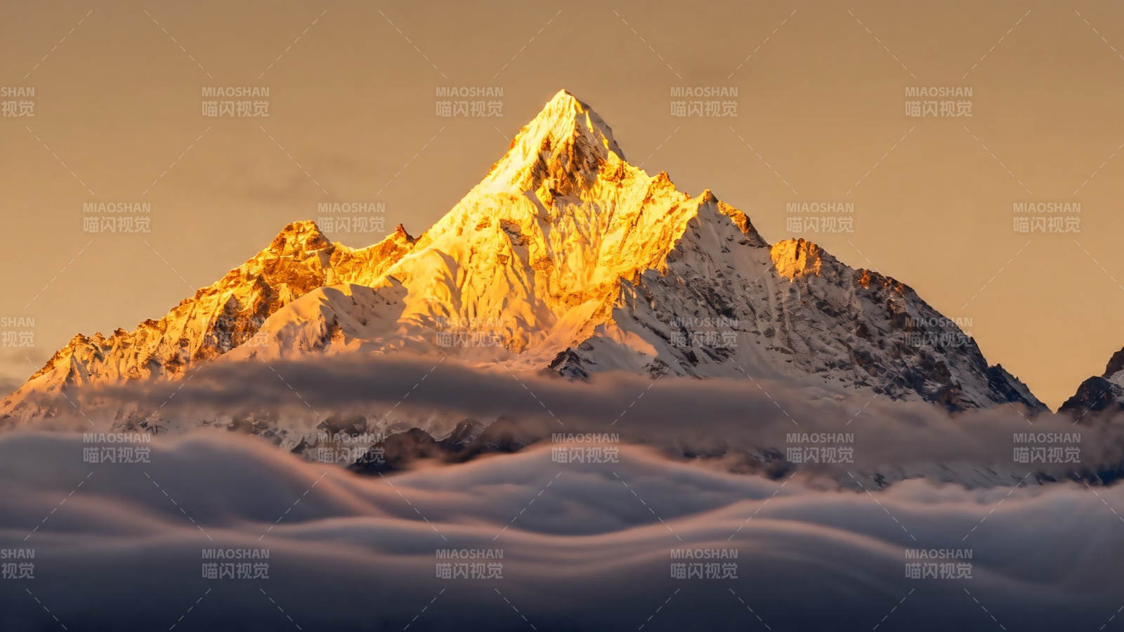 雪山金顶 云海之上图片