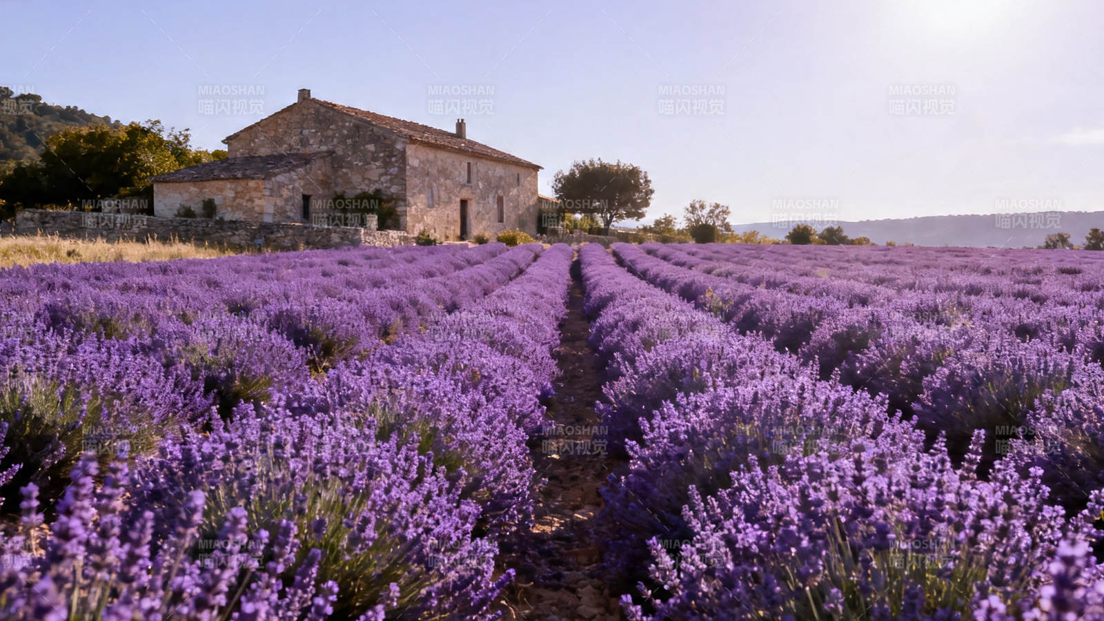 薰衣草田与石屋风光图片
