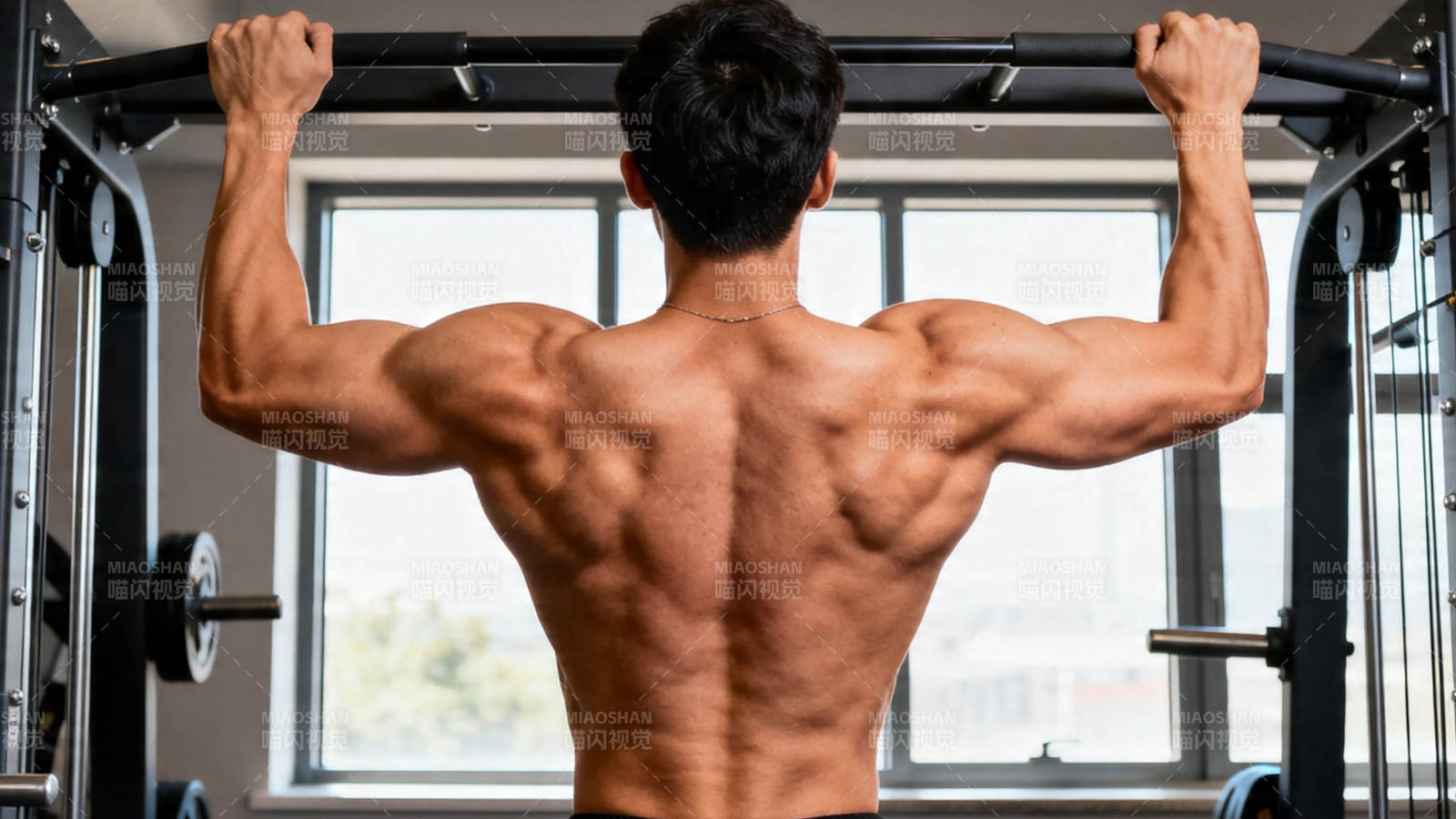 健背引体向上展肌力图片