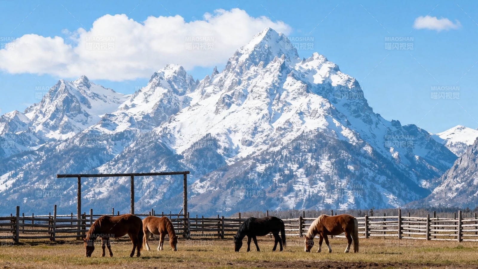 雪山下四马悠然吃草图片