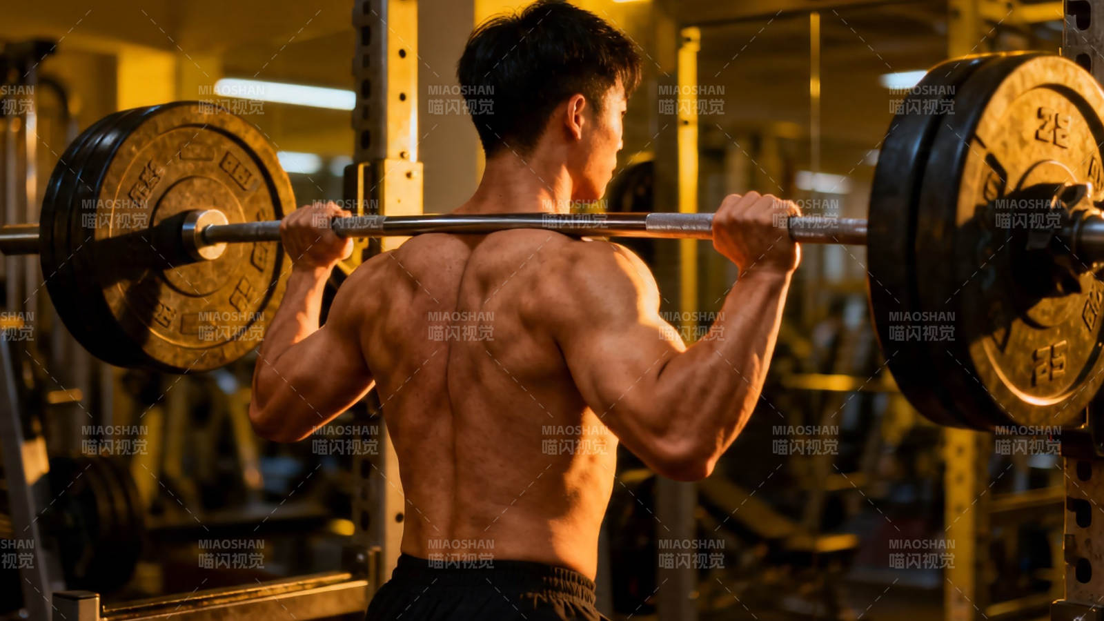 健身男举杠铃练背肌图片