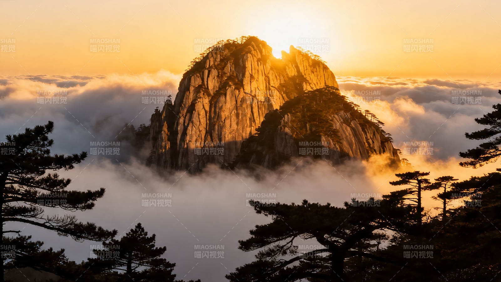 云海日出 奇峰映金辉图片