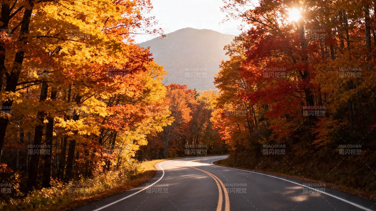 秋日山路 金黄红叶映夕阳图片