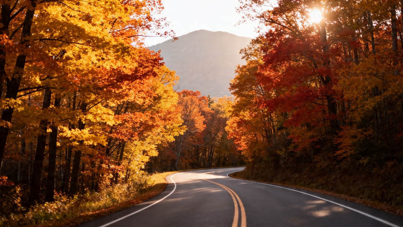 秋日山路 金黄红叶映夕阳图片