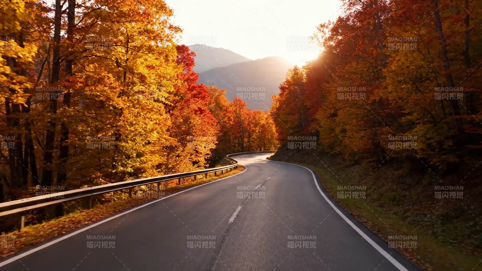 秋日山路 金红满径图片