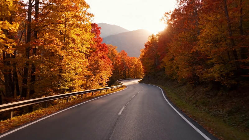 秋日山路 金红满径图片