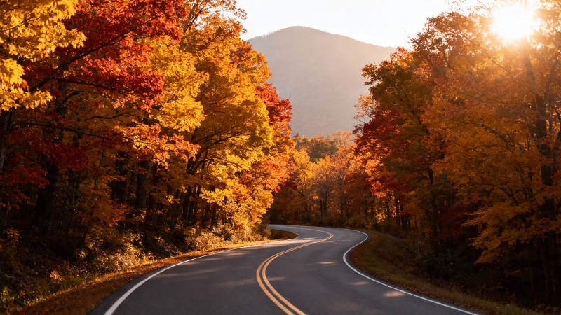 秋日山路 彩林映夕阳图片