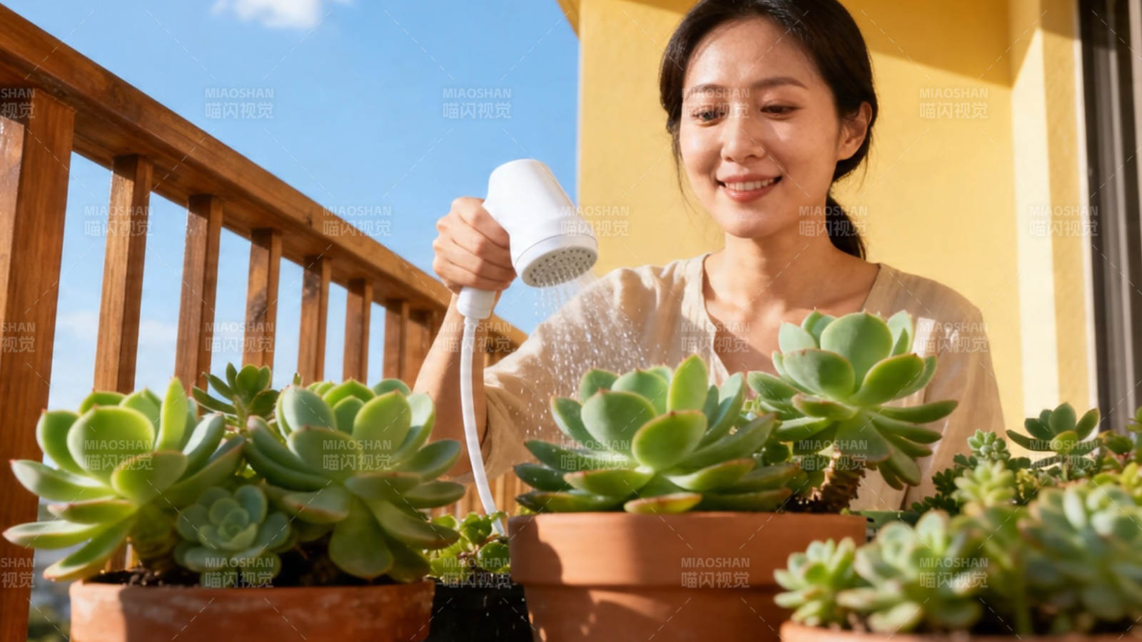 女子阳台浇多肉 笑容温暖图片