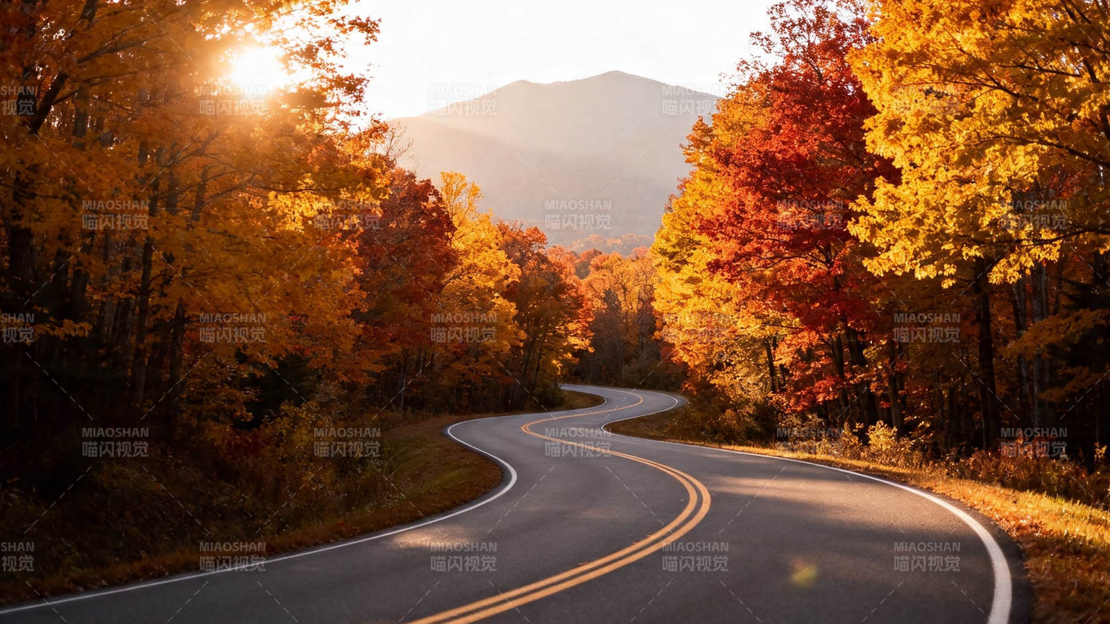 秋日山径 彩林绕弯迎夕阳图片