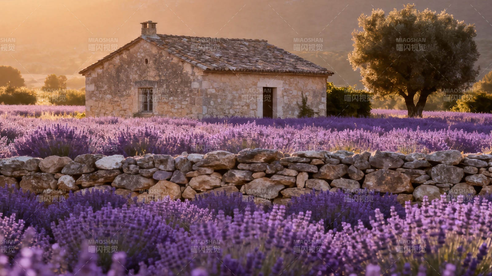 薰衣草田中的石屋黄昏图片