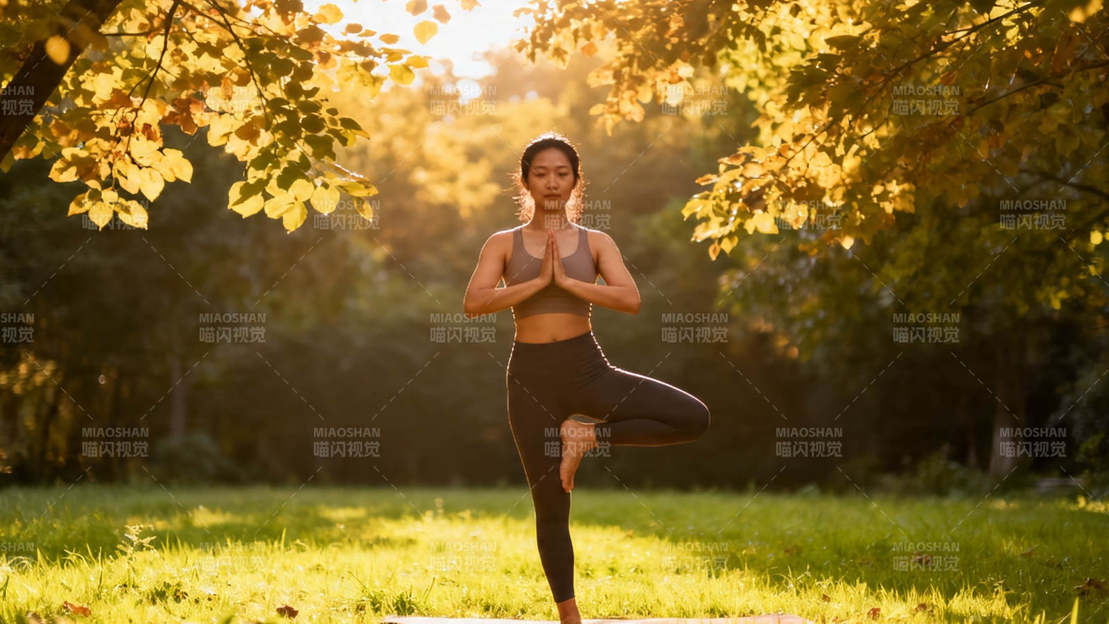 秋日树下瑜伽静修图片