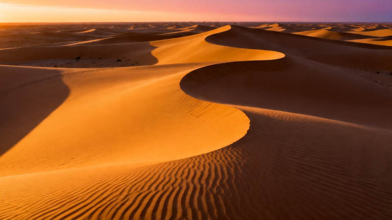 沙漠黄昏 金浪如绸图片