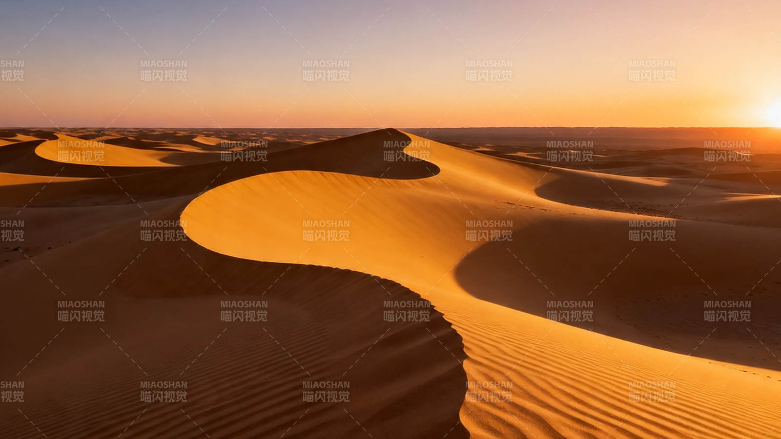 沙漠日落 金浪起伏如诗图片