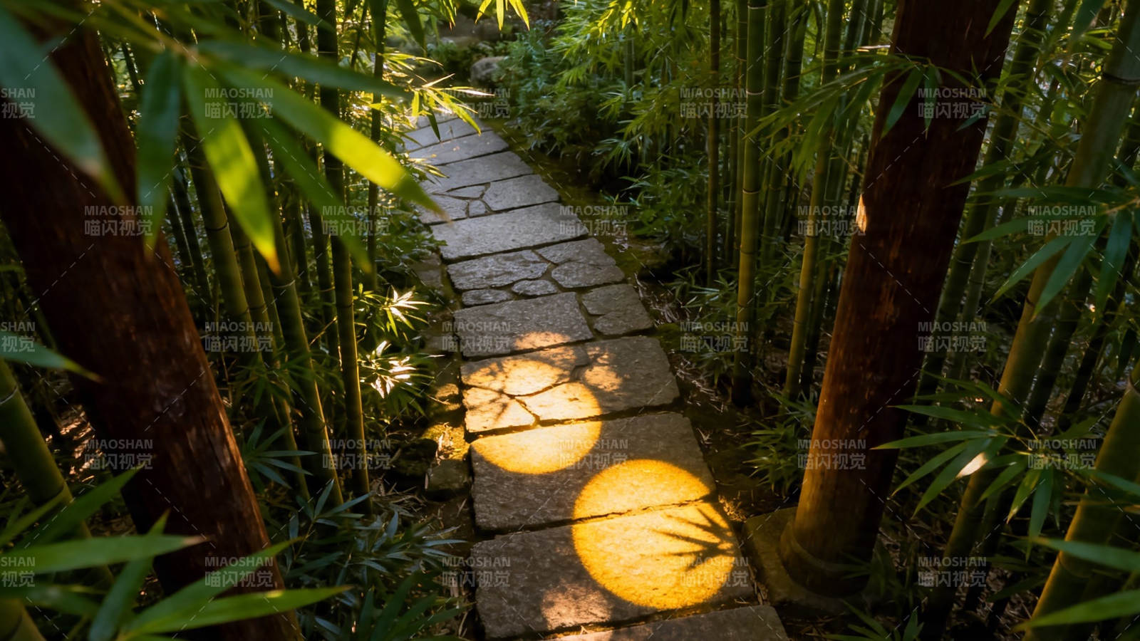 竹径光斑 幽静小径图片