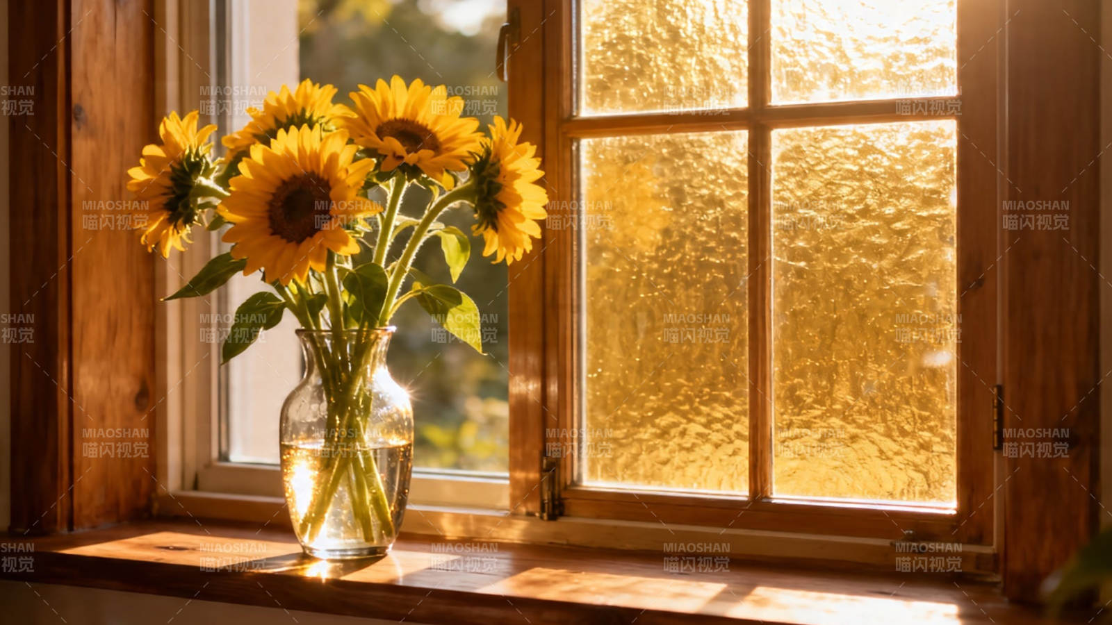 窗台向日葵 暖阳入画来图片