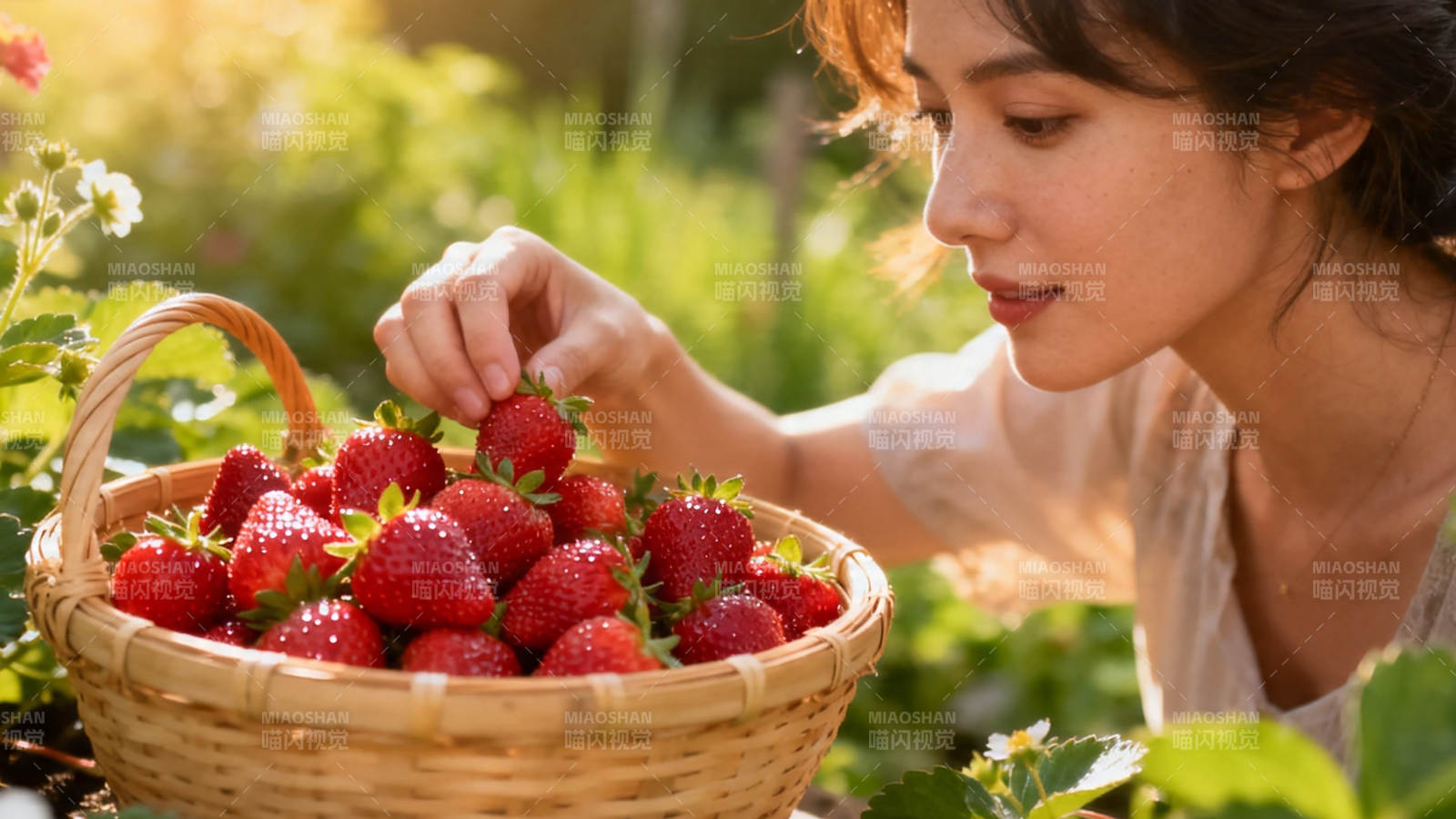 草莓采摘 阳光下的甜美时光图片