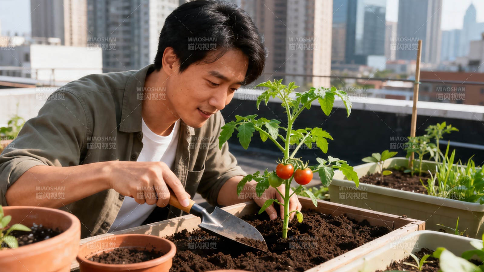 屋顶种菜 城市田园梦图片