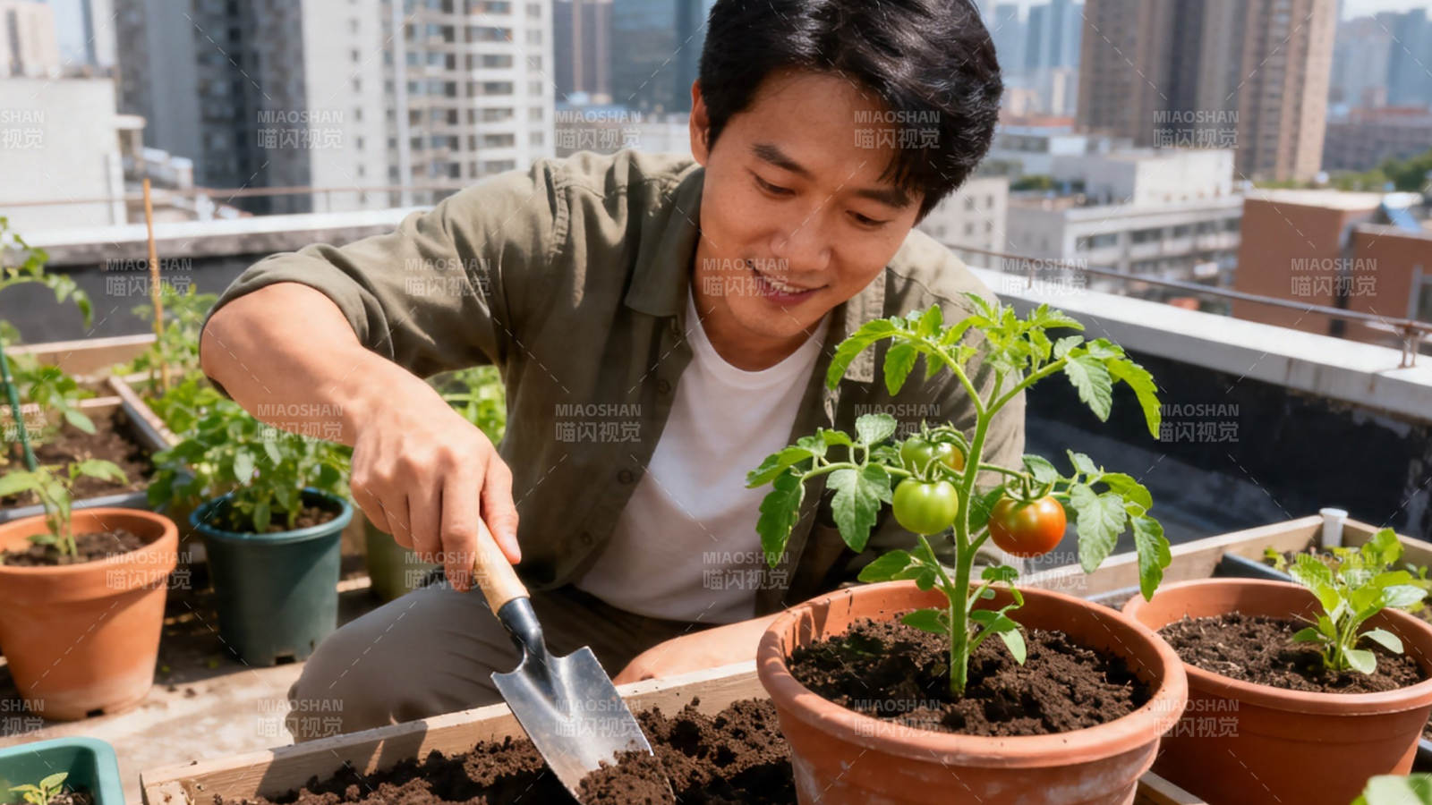 屋顶种菜 乐享田园生活图片