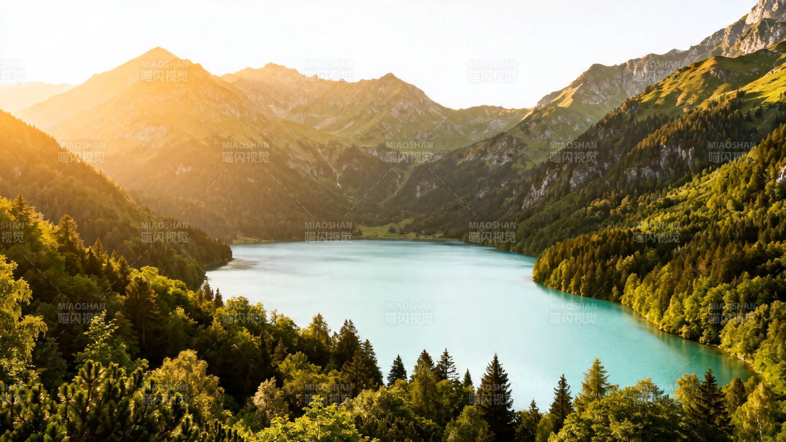 山湖夕照 绿林环抱碧湖图片