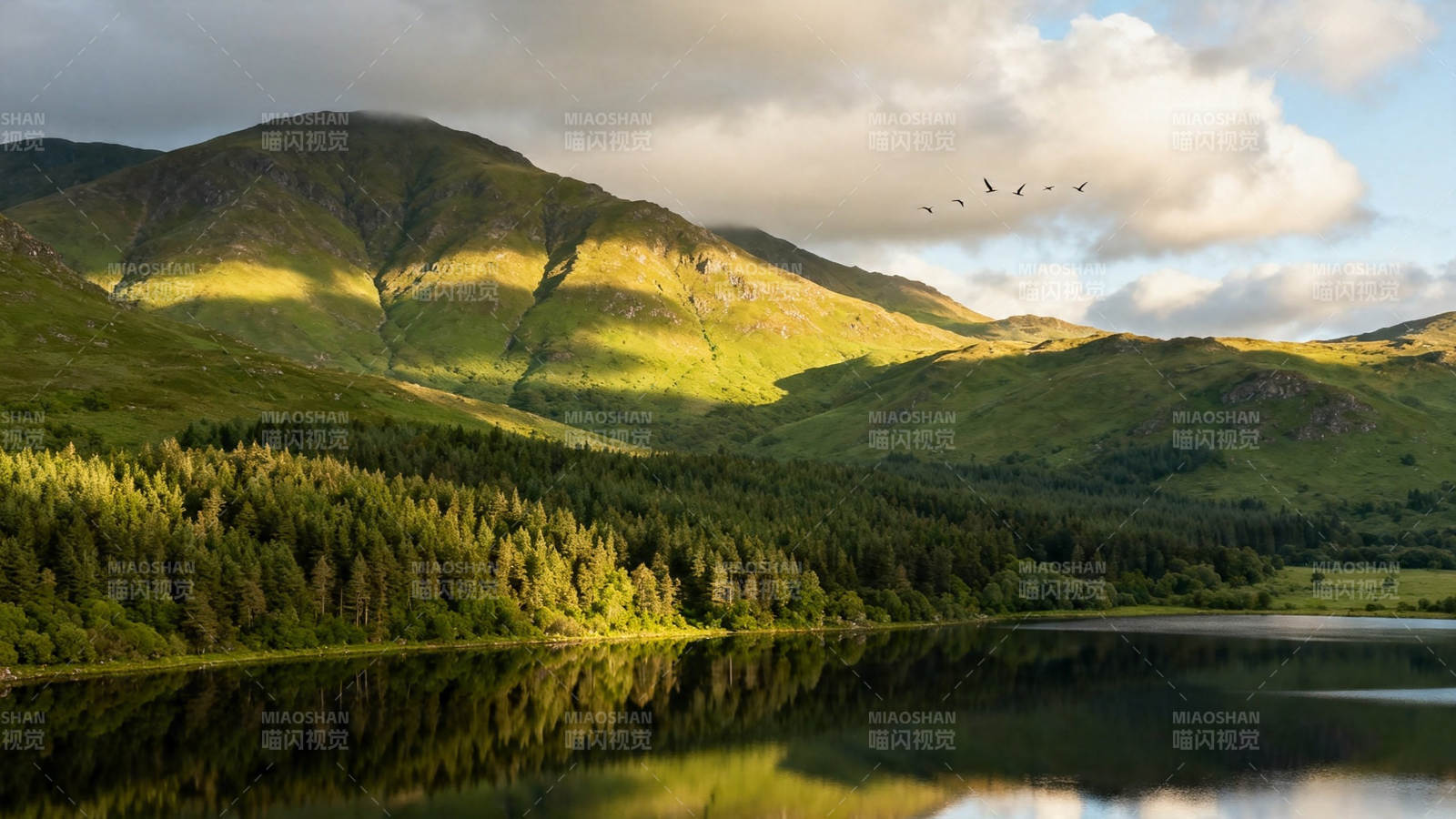 山湖映翠 飞鸟掠云图片