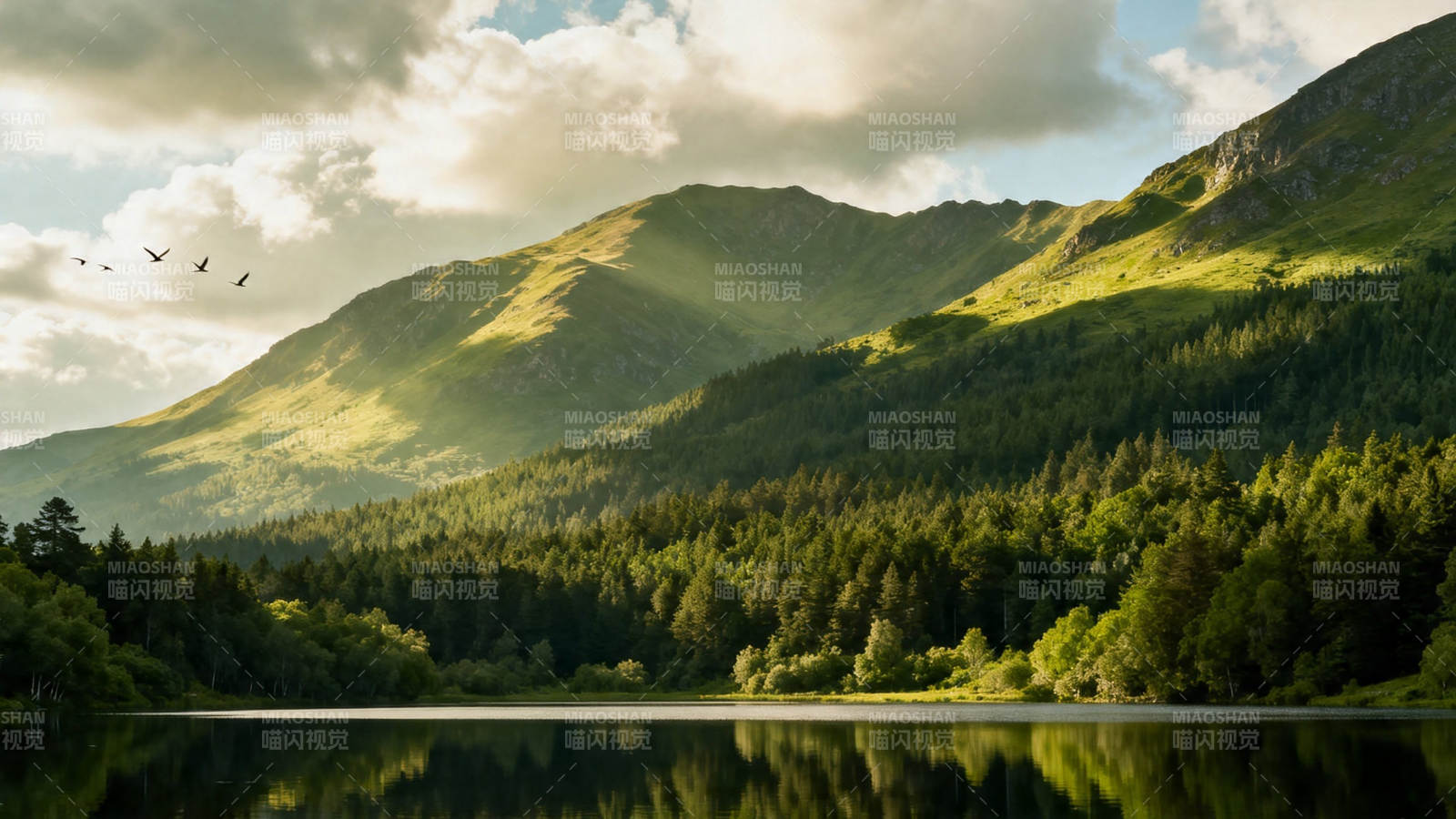 青山映湖 飞鸟掠云间图片