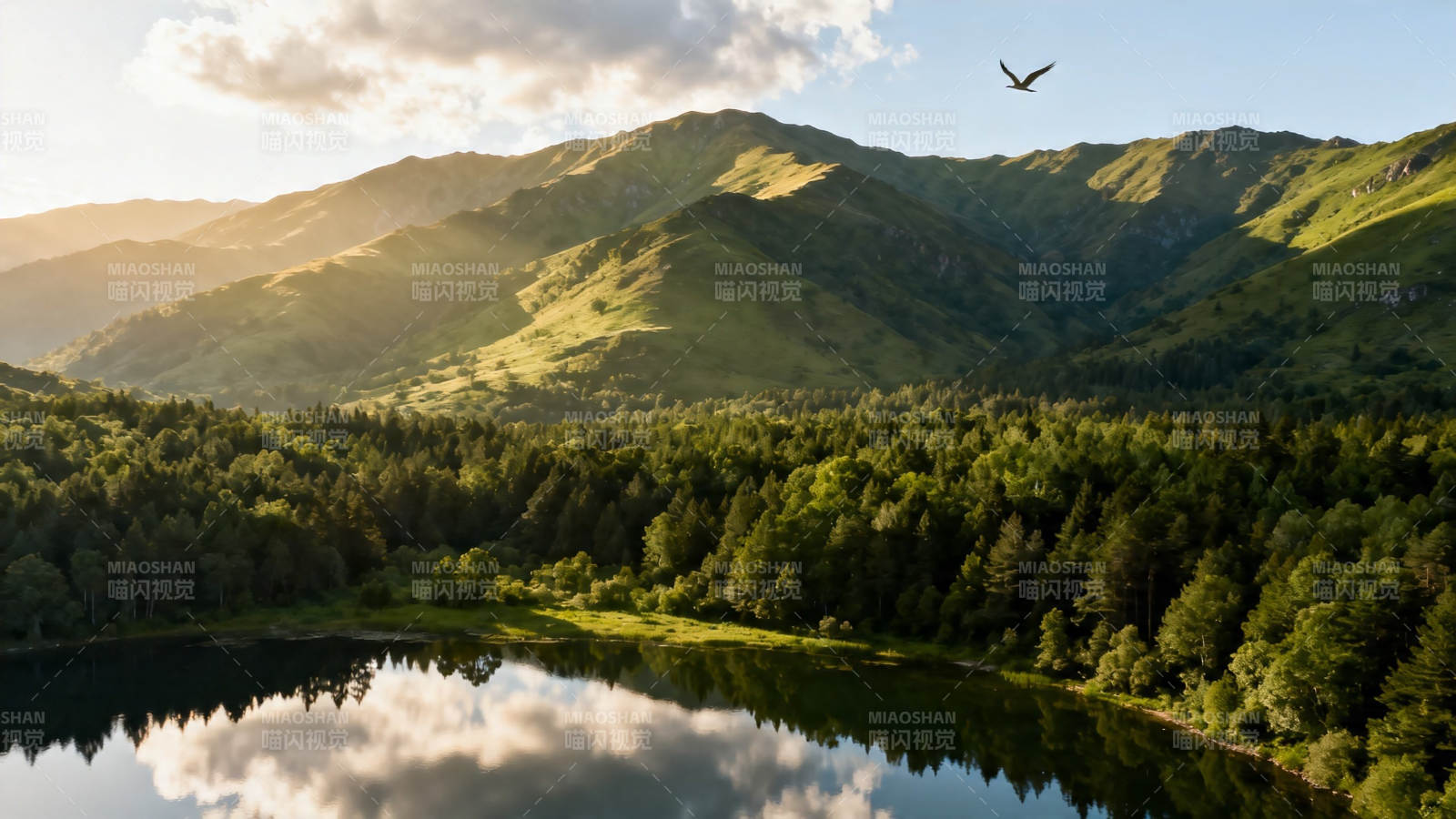 山湖映云 飞鸟掠青峦图片