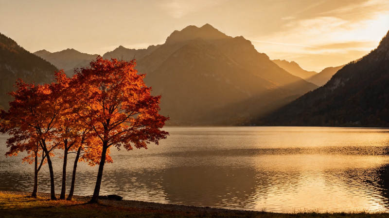 秋湖映山 红树燃夕照图片