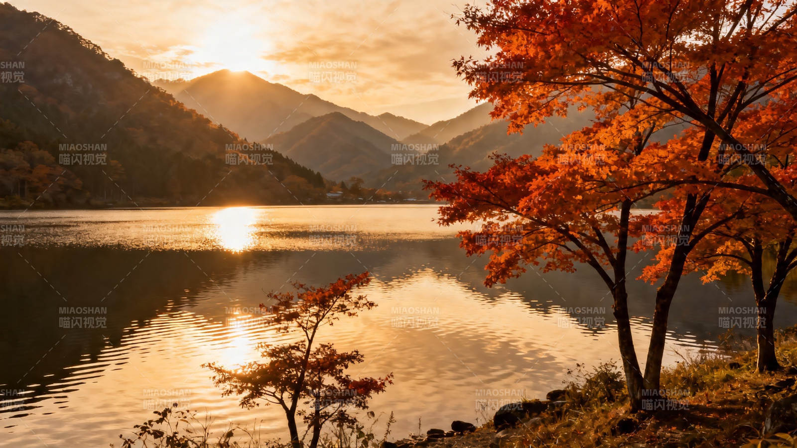 秋湖夕照 红叶映山静美图片