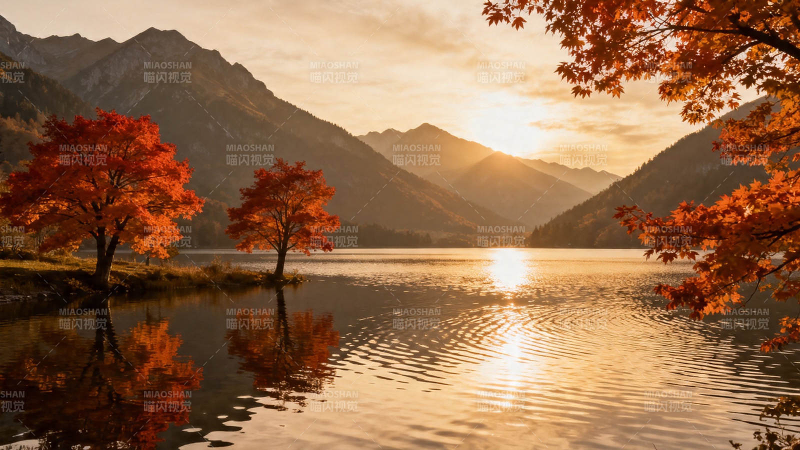 秋湖映山 红叶醉夕阳图片