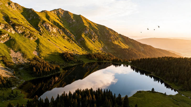 山湖映霞 飞鸟掠空图片