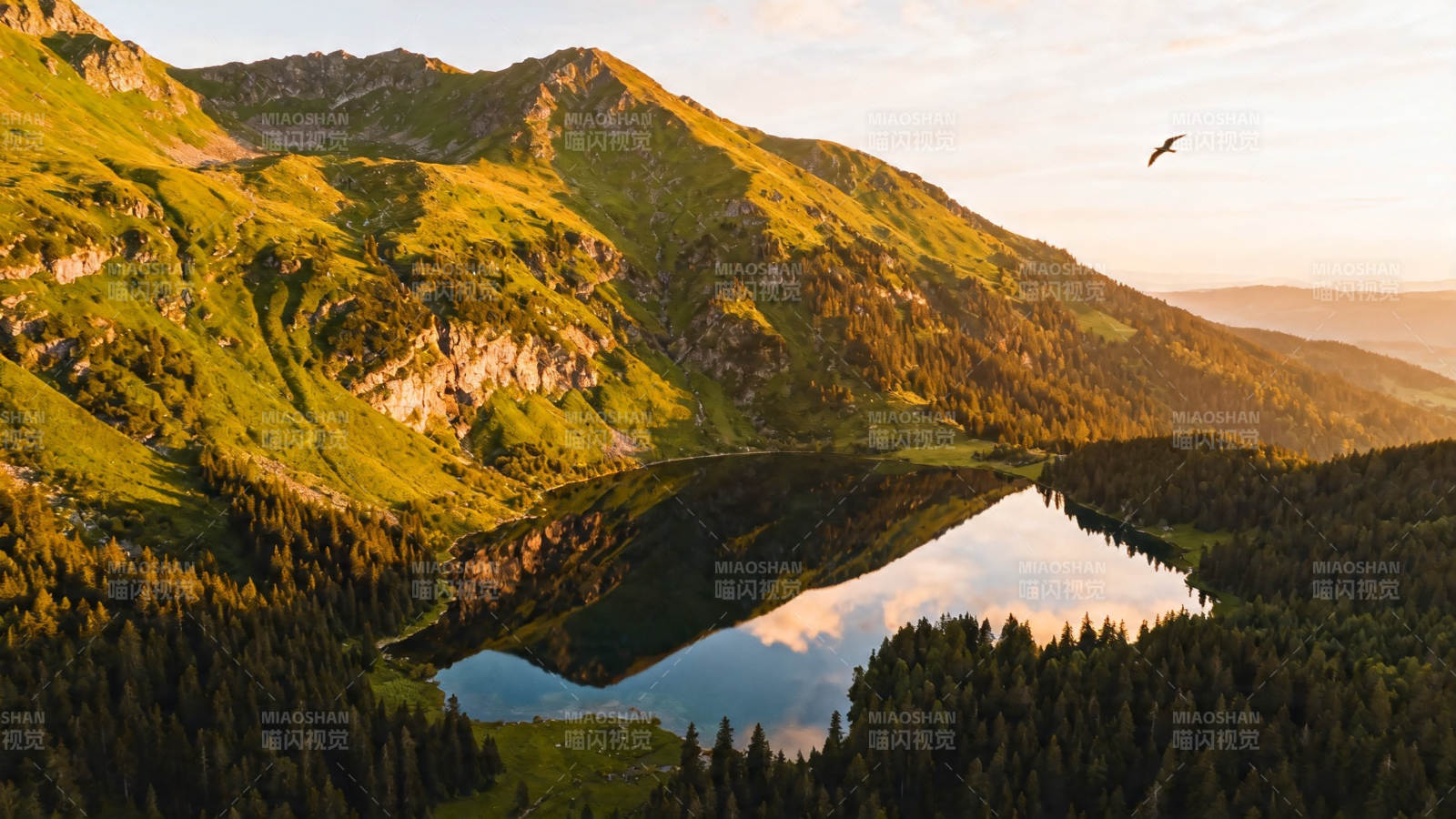 山湖映霞 飞鸟掠空图片