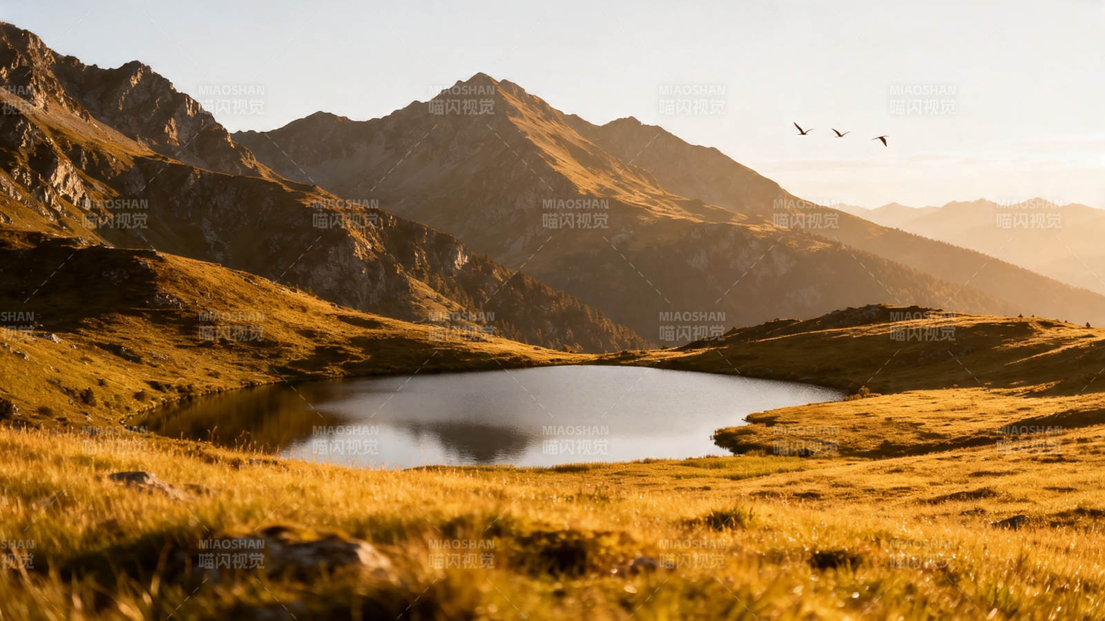 山湖夕照 飞鸟掠金野图片