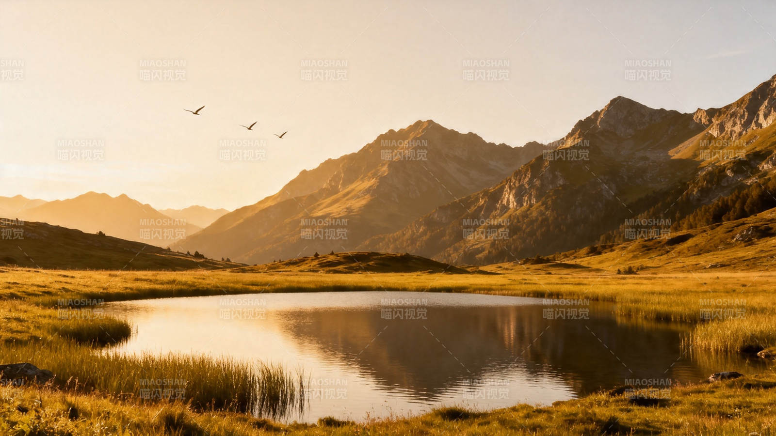 山湖夕照 飞鸟归巢图片