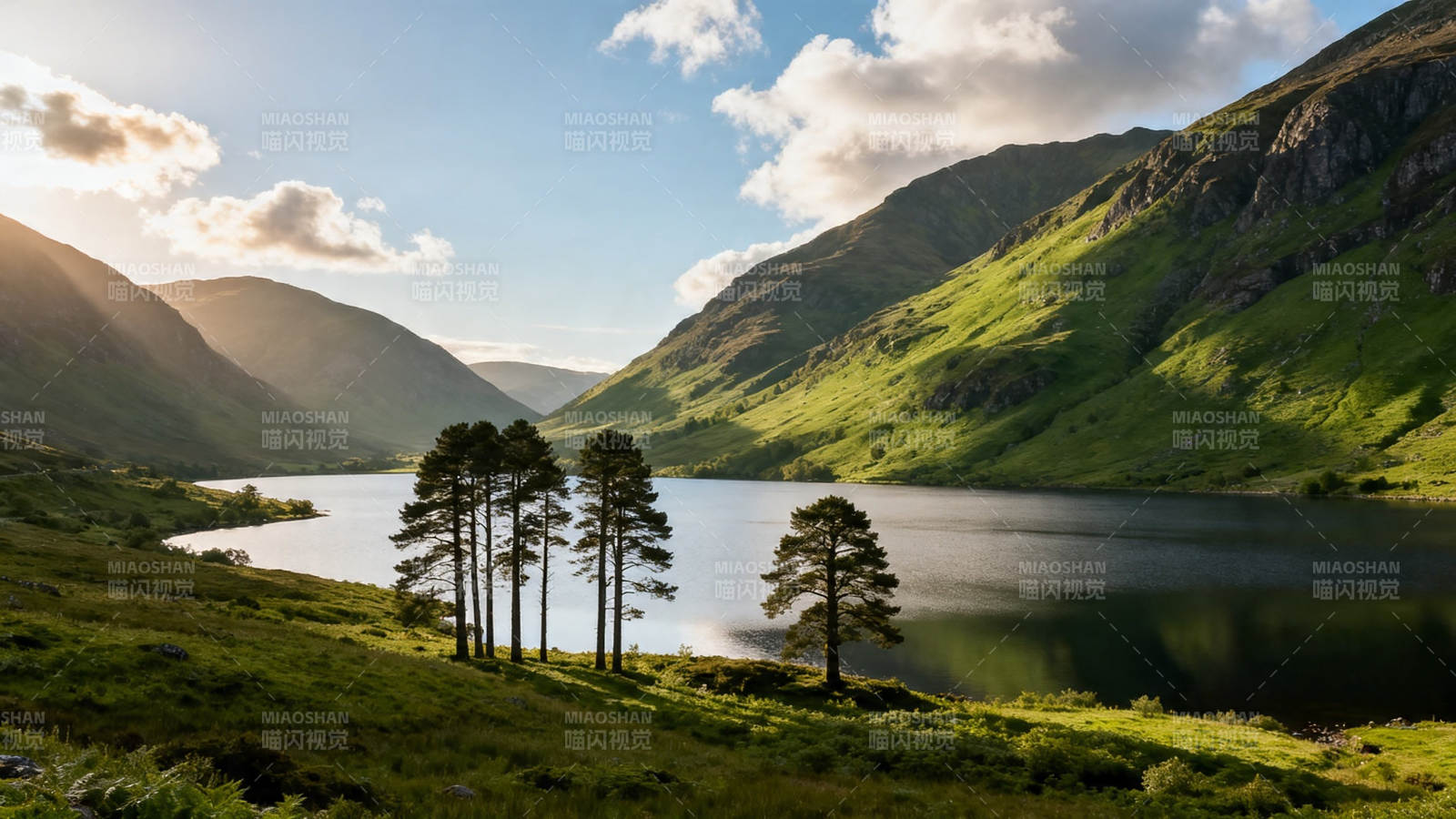 湖光山色 松影映水间图片