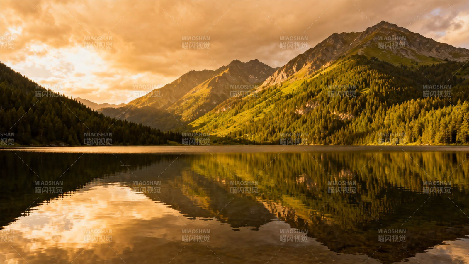湖光山色映金辉图片