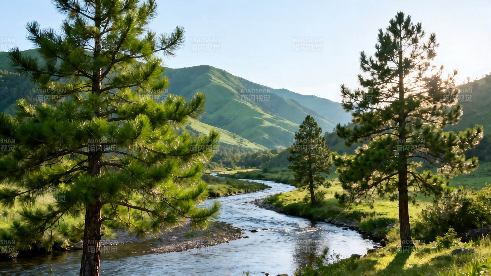青山绿水映松影图片