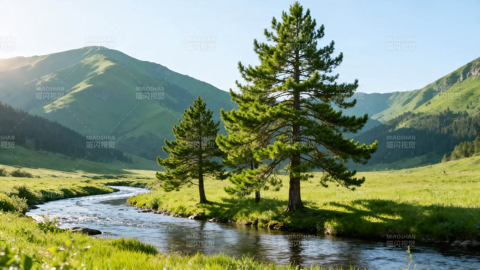 青山绿水 松影溪流图片