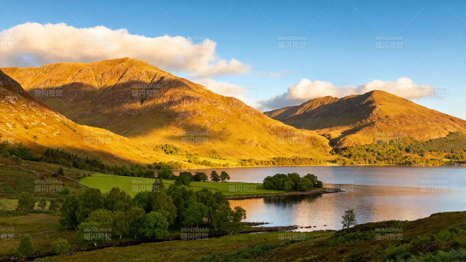 湖光山色 金辉映碧野图片