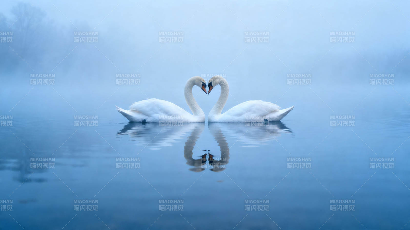 雾中天鹅心形倒影图片