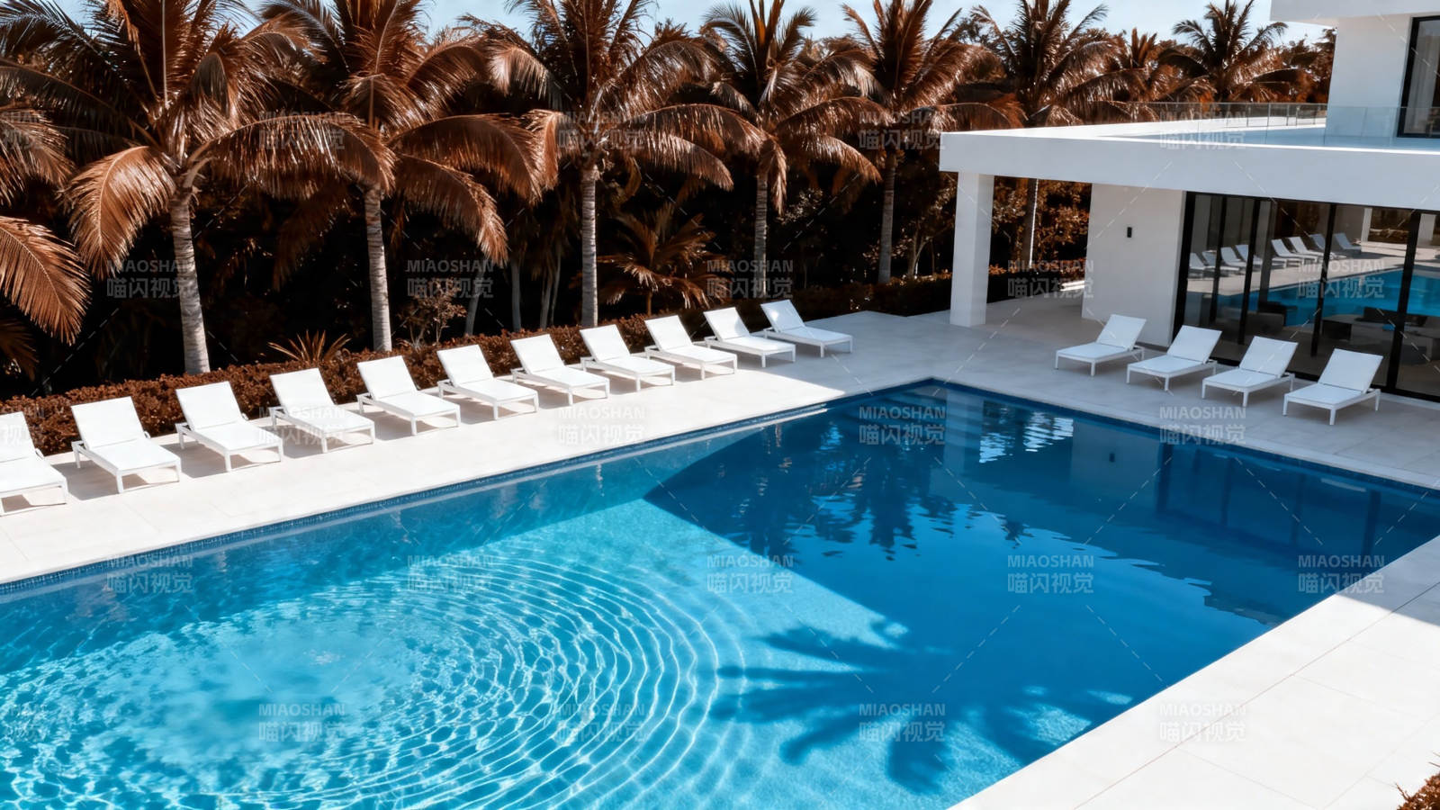 热带泳池别墅 椰影摇曳图片