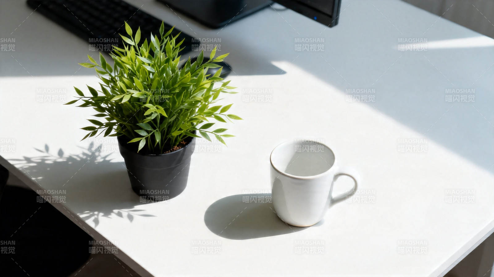 阳光桌角 绿植与白杯静伴图片