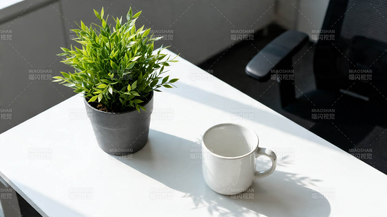 绿植伴白杯 办公小清新图片