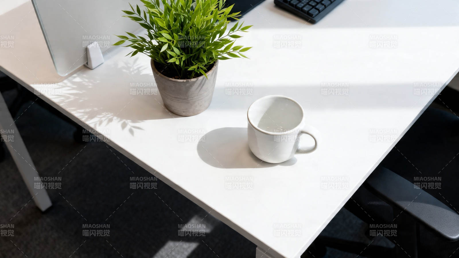 阳光书桌 绿植与白杯静享时光图片