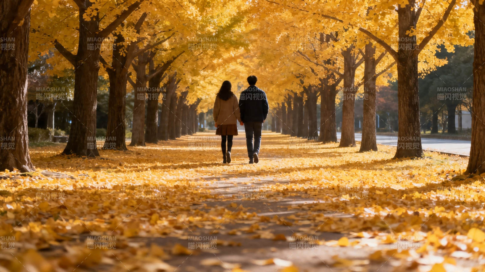 秋日金径 携手漫步图片