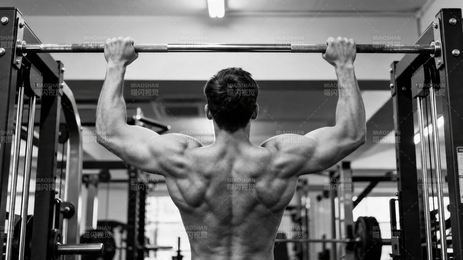 背影肌肉男引体向上训练图片