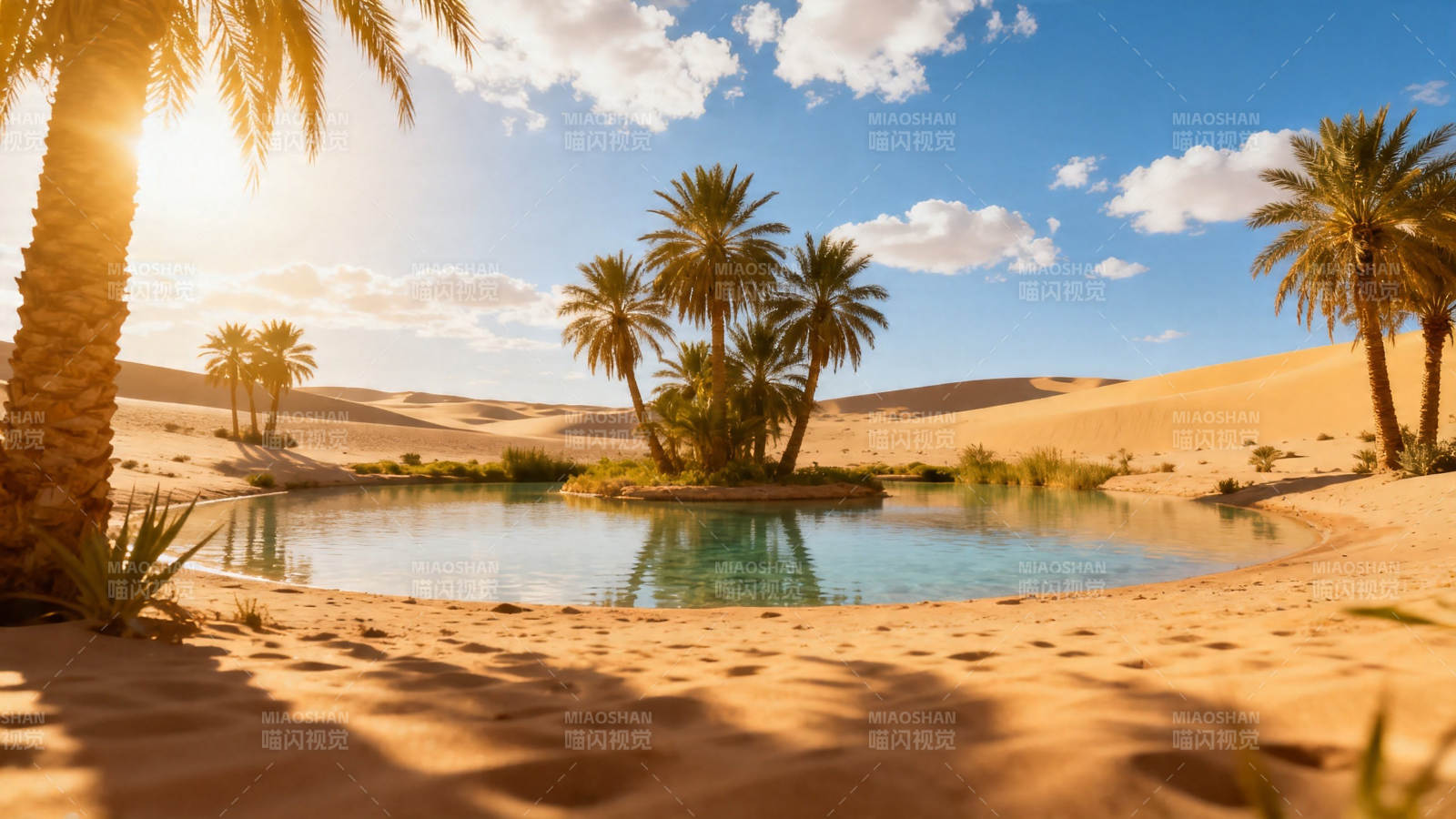 沙漠绿洲 棕榈映水天图片