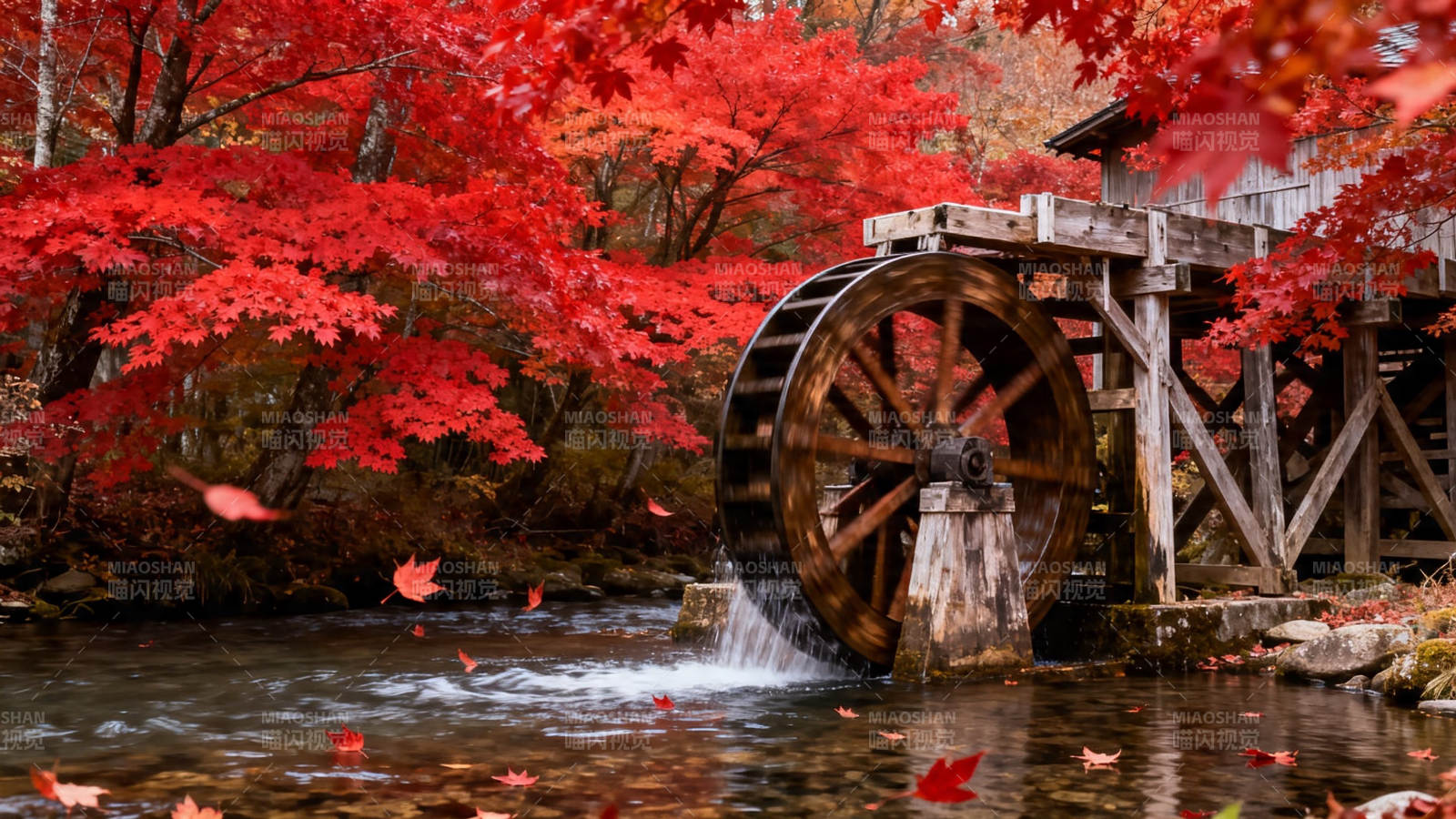 秋红水车映溪流图片