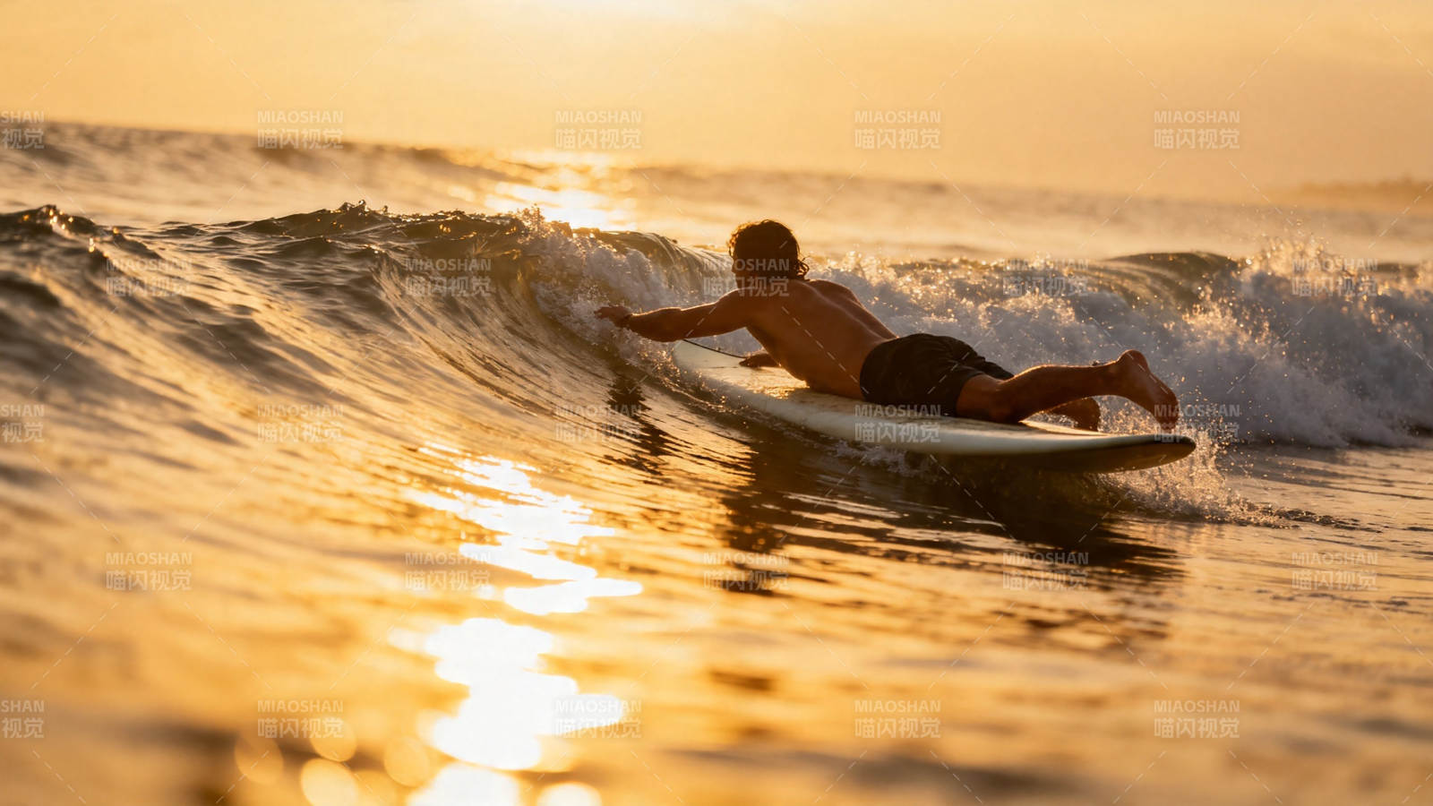 夕阳冲浪 金色海浪追光者图片