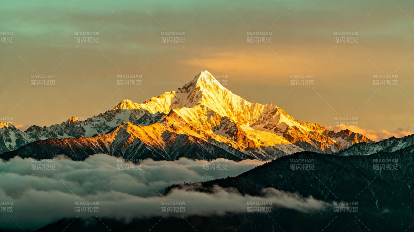 雪山金辉 云海缭绕图片