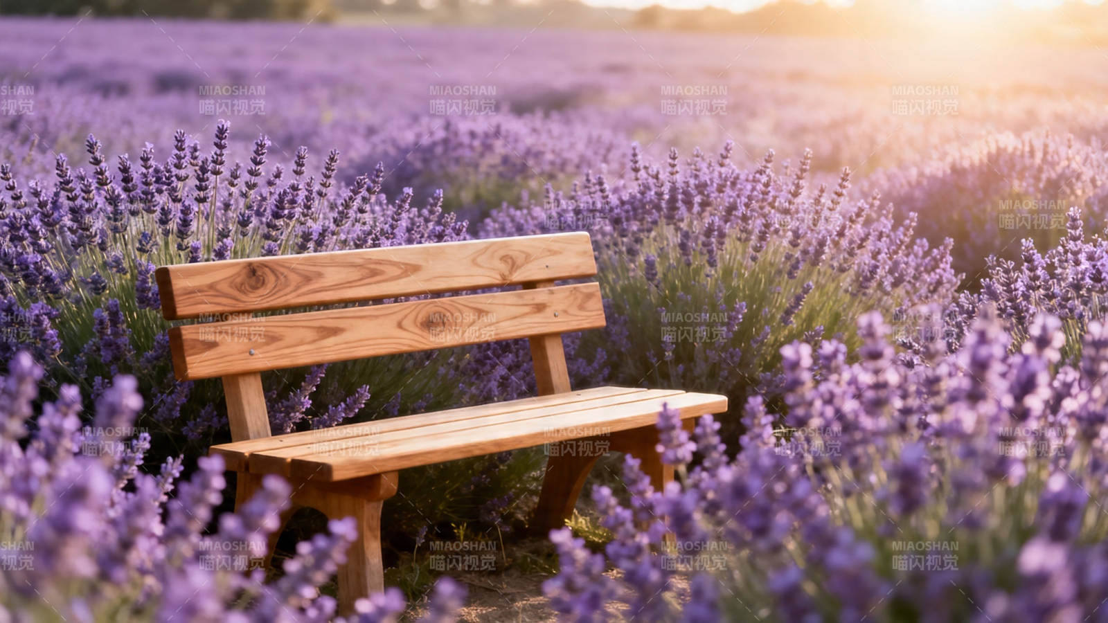 薰衣草田中的木椅图片